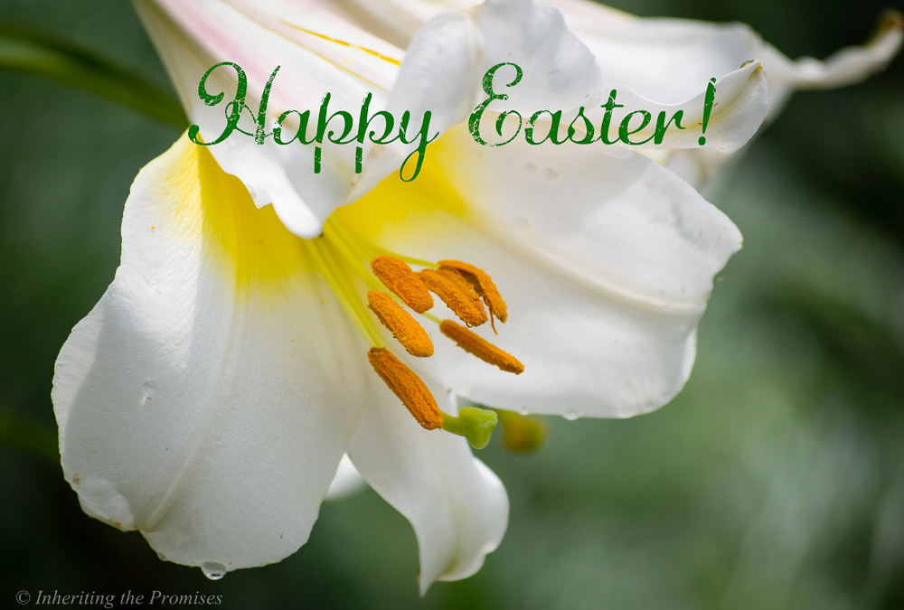 What Does Easter Mean to You?