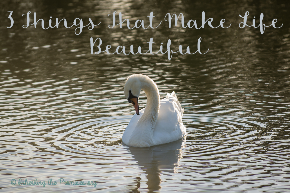 3 Things That Make Life Beautiful